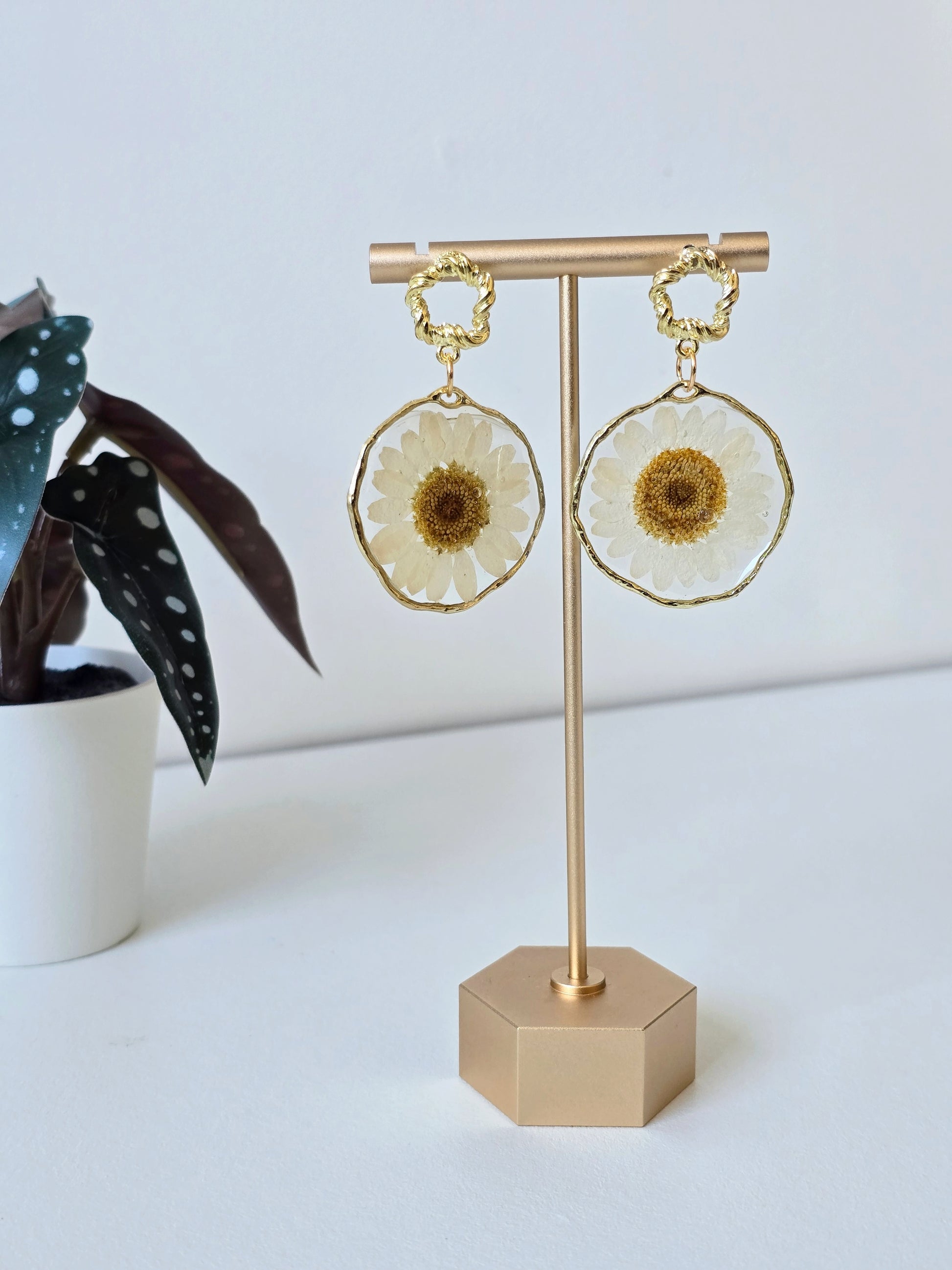 Real White Daisy Earrings - Gold - Handmade Resin Flower Jewellery - Alfia