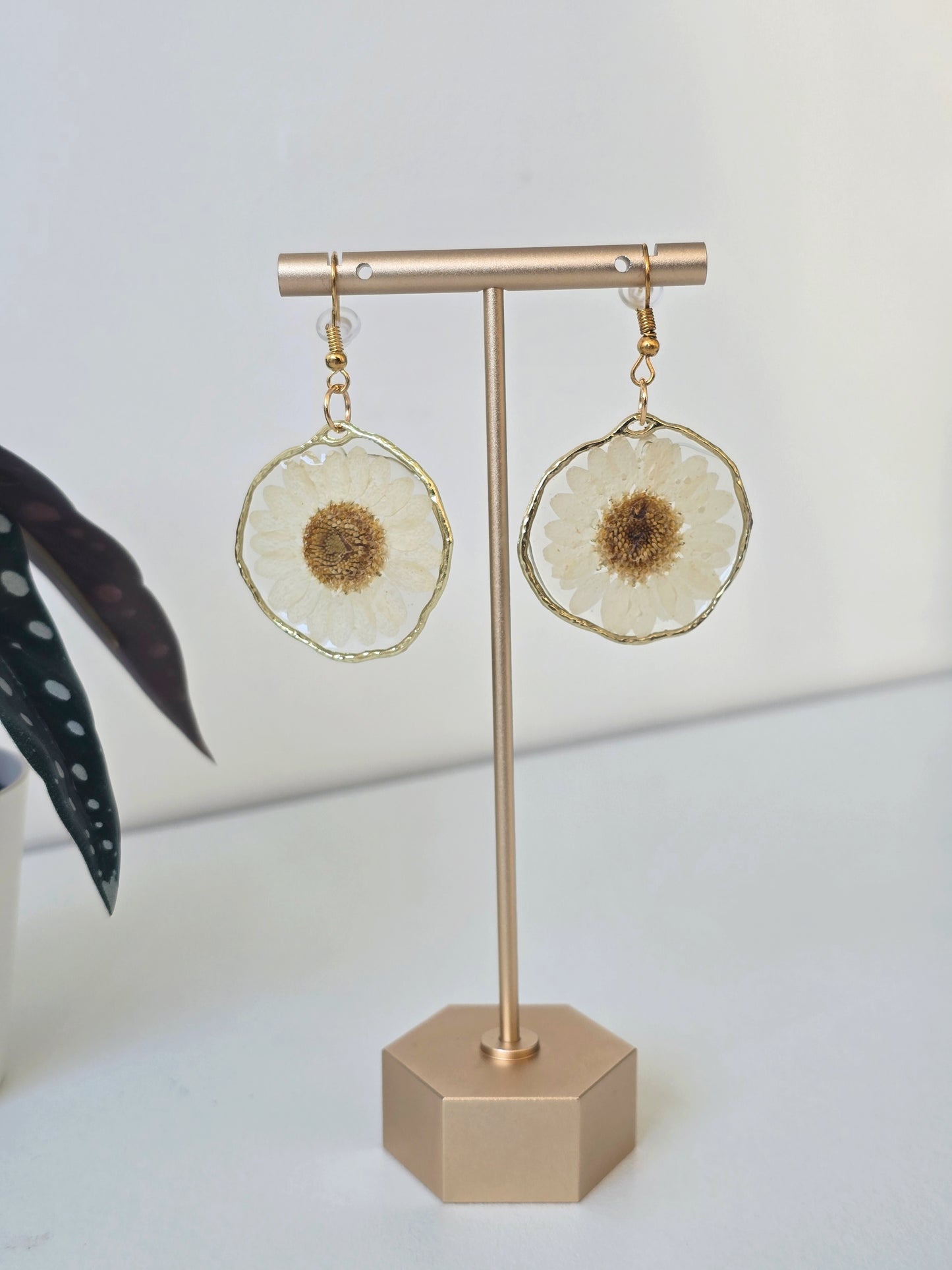 Real White Daisy Earrings - Gold - Handmade Resin Flower Jewellery - Alfia